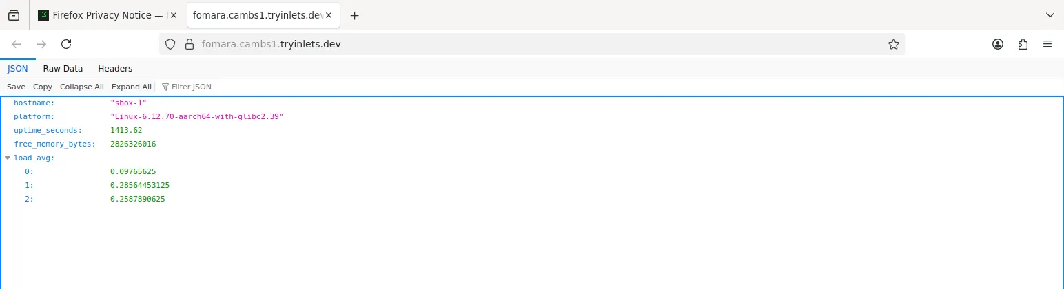 Try out your URL in a browser
